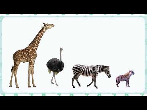 NEW Grade 1 Module 4 Lesson 2