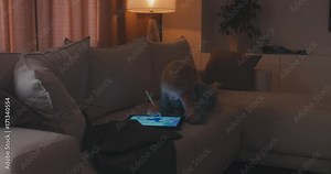 MED Cute Caucasian 5 y.o. girl coloring an image on digital tablet using stylus at home. Modern interior, evening shot. 4K UHD RAW edited footage