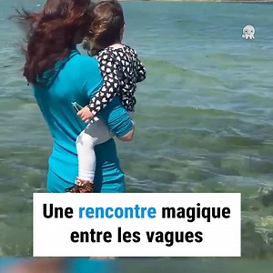 252K views · 6.9K reactions | Qu’ils ont de la chance !  | Curioctopus.fr | Facebook