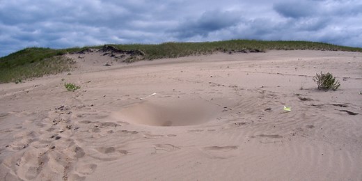 Mount Baldy Dune Investigation - Indiana Dunes National Park (U.S. National Park Service)