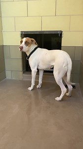 57 reactions · 116 shares | No longer listed STATUS YELLOW ...