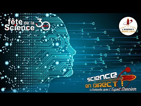 IA, BIG DATA ET NUMÉRIQUE : L'ALGORITHME DANS LA PEAU - Science En Direct 2021