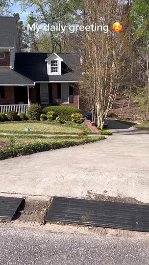 He waits by the window 😍 #itsmeteddy #welcomehome #cavapoo #dogsoftiktok