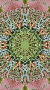 Relaxing Leaf Kaleidoscope Motion Background #shorts