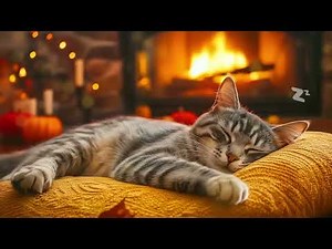 12 Hours Cat Healing Music 🐈 Soothing Sounds 🐱 Kitten Sleep Music | Gentle Piano & Healing Vibes