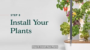 Gardyn 4.0, Step 8: Install your Plants