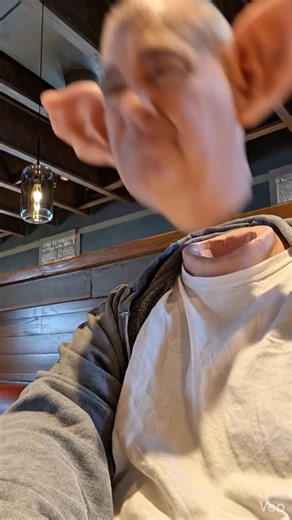 don't lose your head. #headshot #headless #head #fly #detachment #swoop #highflyingbird #flight