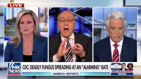 CDC on guard over deadly fungus spreading throughout the US