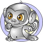 Neopets Gourmet Food