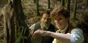 Fantastic Beasts and Where to Find Them: a history of monsters, from werewolves to hippogriffs