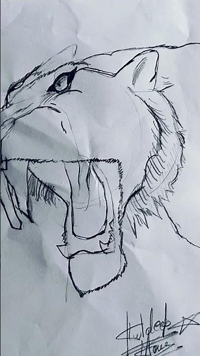 Saber-Toothed Tiger ✏️ Smilodon Sketch | Prehistoric Cat Drawing