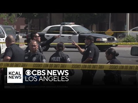 A look at LAPD crisis training as mental health situations continue to rise