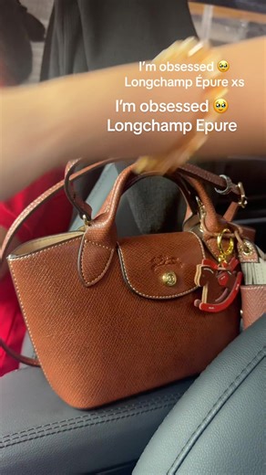 Discover the Spacious Longchamp Épure XS