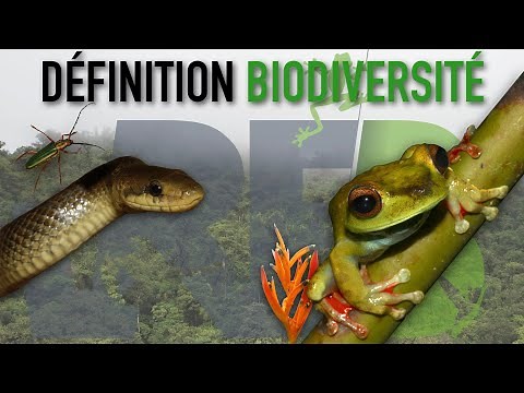 Définition de la biodiversité