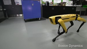 New dog-like delivery robots coming to University of Texas campus