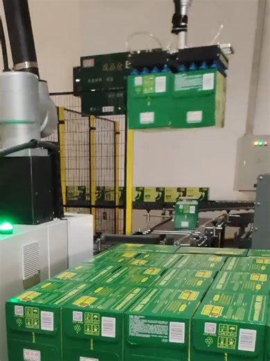 Efficient Dual-Grip Palletizing Robot Case Study