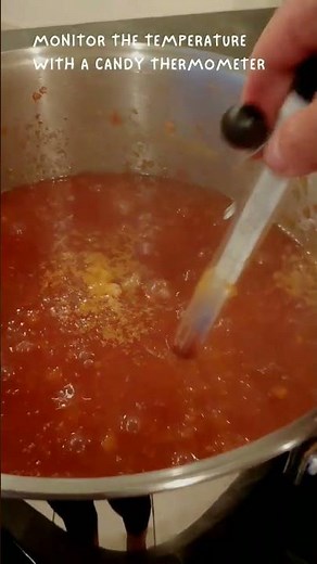 Nectarine Jam Recipe | Homemade Jam Recipe #nectarine #jamrecipe #canninglife #canning #shortsvideo