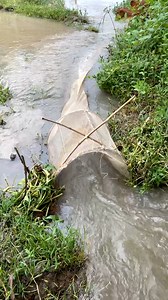 12K views · 67 reactions | Village 74 on Reels | Facebook