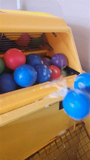 Bunny Hop Mobile Play™ ● NWA Ball Pit & Bounce House ● on Instagram: "The ball washer is really the MVP of this entire business 🙌🫧🧼"