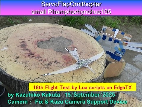 サーボ駆動翼竜型羽ばたき機 SFOsmall Rhamphorhynchus105 22g : 18th Flight Test by Lua scripts on EdgeTX