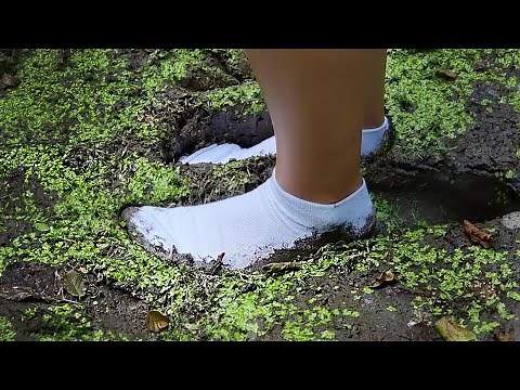Muddy white socks, white socks in a swamp, wet and muddy white socks, white socks mud stuck (# 805)