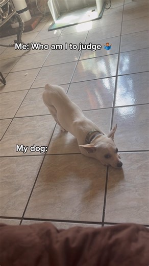 The side eye is crazy 😂