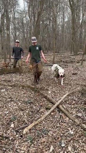 And we catch them in the open timber sometimes. Although it doesn’t happen enough in my opinion.