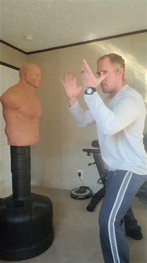 Kenpo Movement #kenpo #kempo #combat #fight #teacher #train #boxing #box #kungfu #subscribe #share