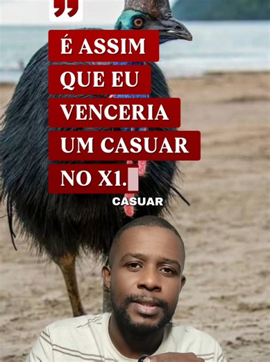 3 Coisas que EU faria pra vencer um casuar no x1 | bmw x1