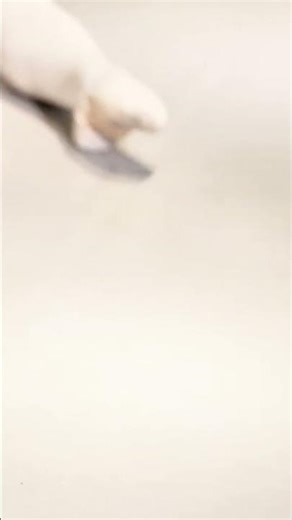 Perfect Leg Lines! This Latin Dance Girl’s Technique Is Stunning ✨ #LatinDance #Girl #Legs #beauty