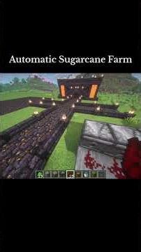 How To Make Automatic Sugarcane Farm In Minecraft [JAVA & BEDROCK] #shorts #minecraft