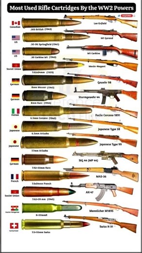 The Most Used Rifle Cartridges By Allied & Axis Powers of World War II #shorts