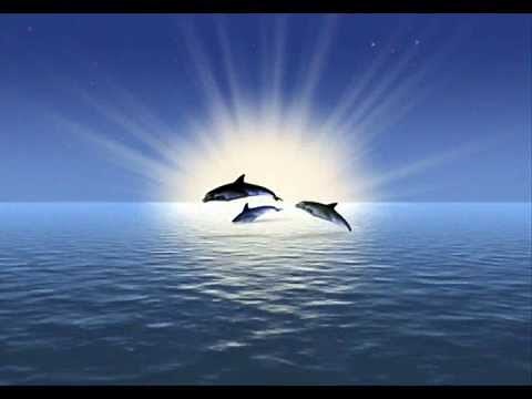 EL DELFIN AZUL (Piano Instrumental)