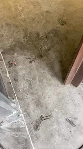 6.7K views · 14 reactions | Pranchas de surf sendo feitas em Portufal #transferemlisboa #transferlisboa #portugal #Lisboa #transfer #surf #Nazare | Transfer Lisboa | Facebook