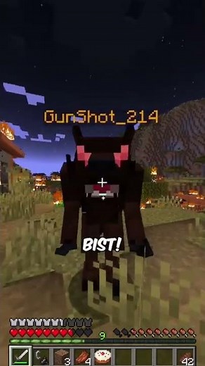 Ein WERWOLF in MINECRAFT?😂 (POV: Dieser eine Freund)