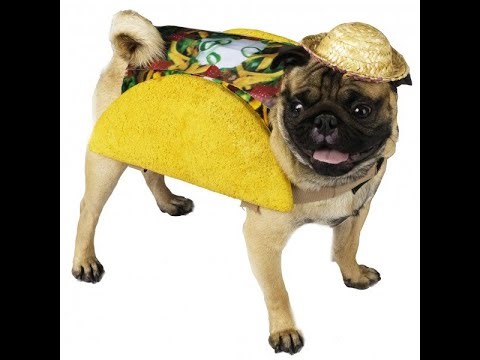 nfs hpr mix mw exo commentary n shit no chimps allowed