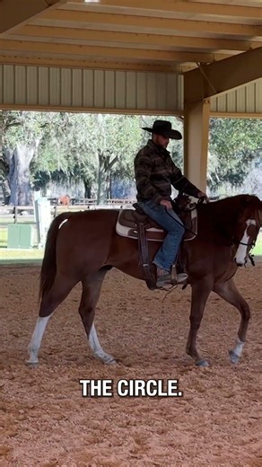 Do this to install power steering on your horse