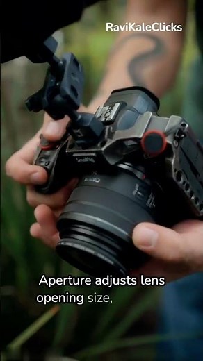 The 3 Photography TECHNIQUES You Need to Master Now #learnphotography