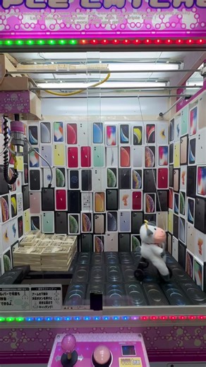 自転車を漕ぐ牛の動画