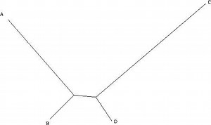 Maximum parsimony (phylogenetics) - Alchetron, the free social encyclopedia