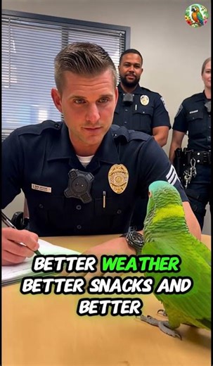 🤣 Talking Parrot Shocks Police Officer | Funniest Immigration Interview Short #talkingparot #funny