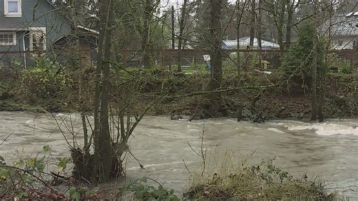 City of Molalla could become 'island' as 3 rivers reach flood stage