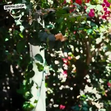 4.2K views · 65 reactions | Everyone Can Use A Helping Hand Sometimes ❤️ | Karma Central | Facebook