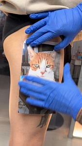 Realistic cat tattoo portrait. 2 session Client from Naples | Gabriele Pellerone Tattoo