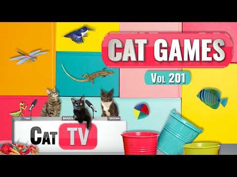CAT Games | Ultimate Cat TV Compilation Vol 201 | 8 HOURS 🐝🐞🦋🦎🦜🐜🐭🧵