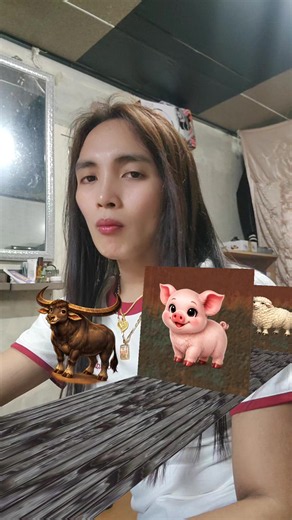 Filipino Animal Sounds Compilation: carabao, deer, tamaraw, buffalo, ducklings