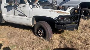 Just another day on the farm.