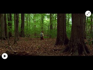 Ask of God, Joseph Smiths First Vision -All Accounts