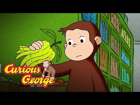Curious George 🐵 Chef George 🐵 Kids Cartoon 🐵 Kids Movies 🐵 Videos for Kids
