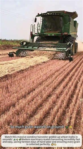 Fastest Wheat Harvest Machine Ever! 🚜🌾💨